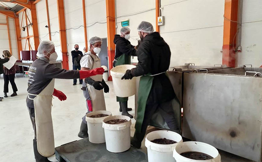 Τα ολοθούρια (αγγούρια της θάλασσας), που ταξιδεύουν, από τη Λαμία για τις κουζίνες των πιο διάσημων εστιατορίων της Κίνας και άλλων χωρών της Ασίας