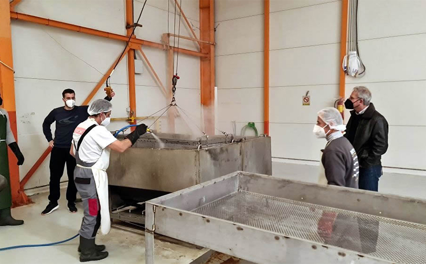 Τα ολοθούρια (αγγούρια της θάλασσας), που ταξιδεύουν, από τη Λαμία για τις κουζίνες των πιο διάσημων εστιατορίων της Κίνας και άλλων χωρών της Ασίας