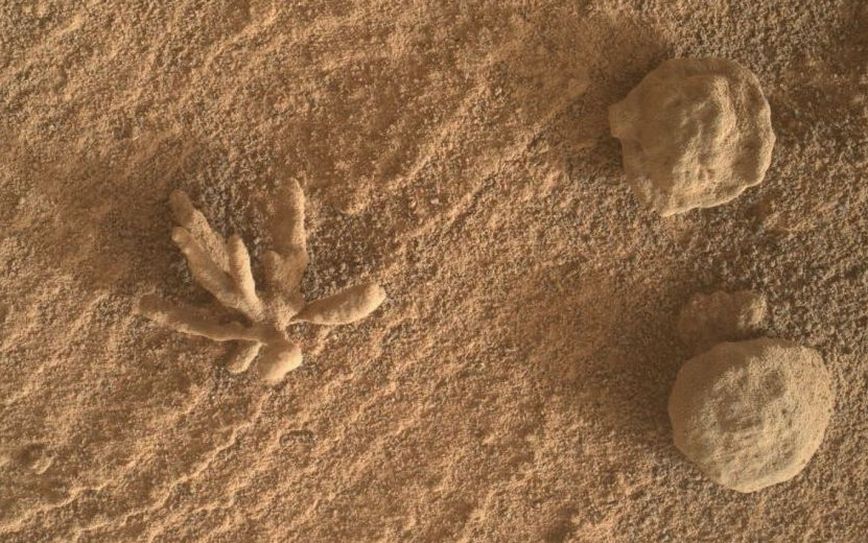 NASA: Το ρόβερ Curiosity ήρθε πρόσωπο με πρόσωπο με ένα αρειανό «λουλούδι»