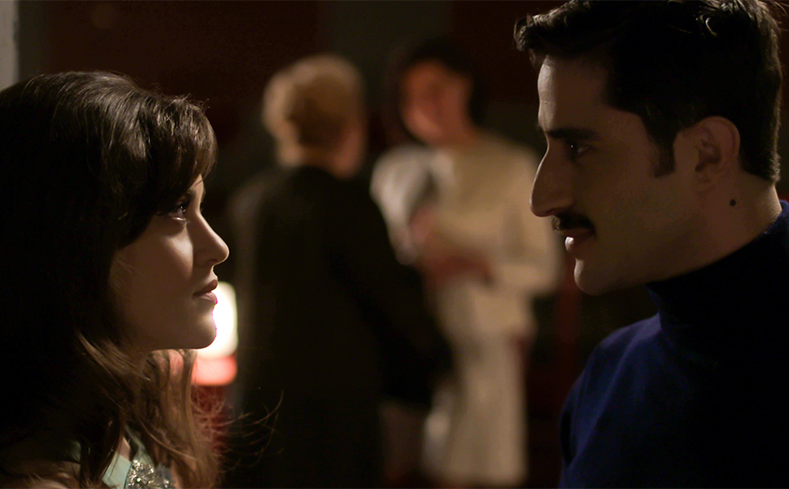 Άγριες Μέλισσες