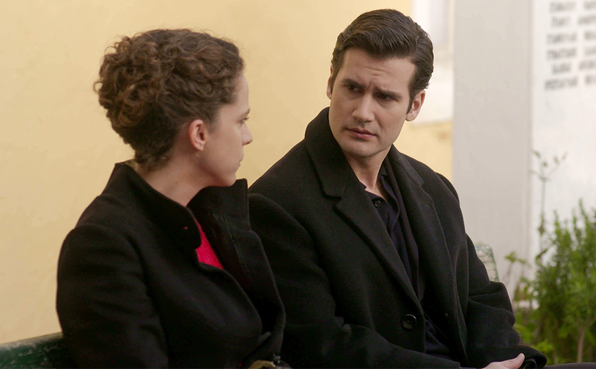 Άγριες Μέλισσες