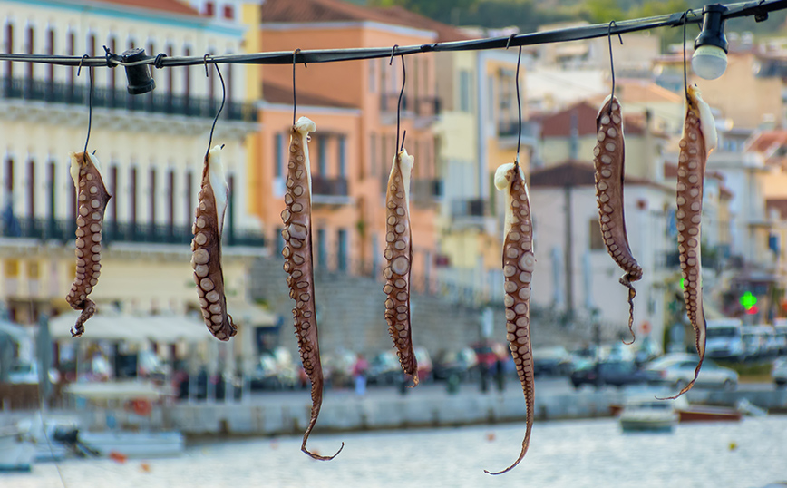 Θαλασσινοί μεζέδες στο Γύθειο Θαλασσινοί μεζέδες στο Γύθειο