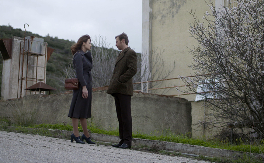 Άγριες Μέλισσες Άγριες Μέλισσες