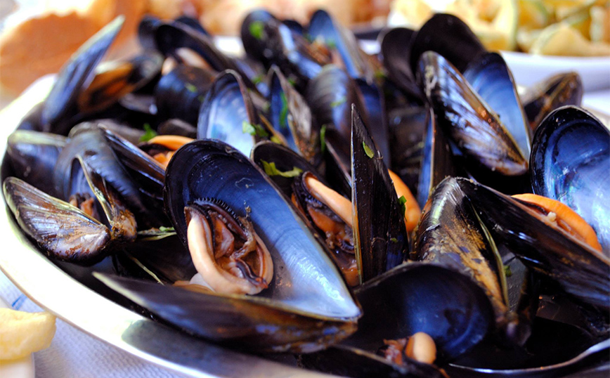 Ταβέρνα Αντωνία Ταβέρνα Αντωνία