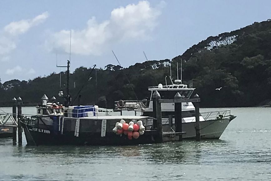 Τραγωδία στη Νέα Ζηλανδία: Τέσσερα πτώματα ανασύρθηκαν από τη θάλασσα – Ισχυρές καταιγίδες στη χώρα