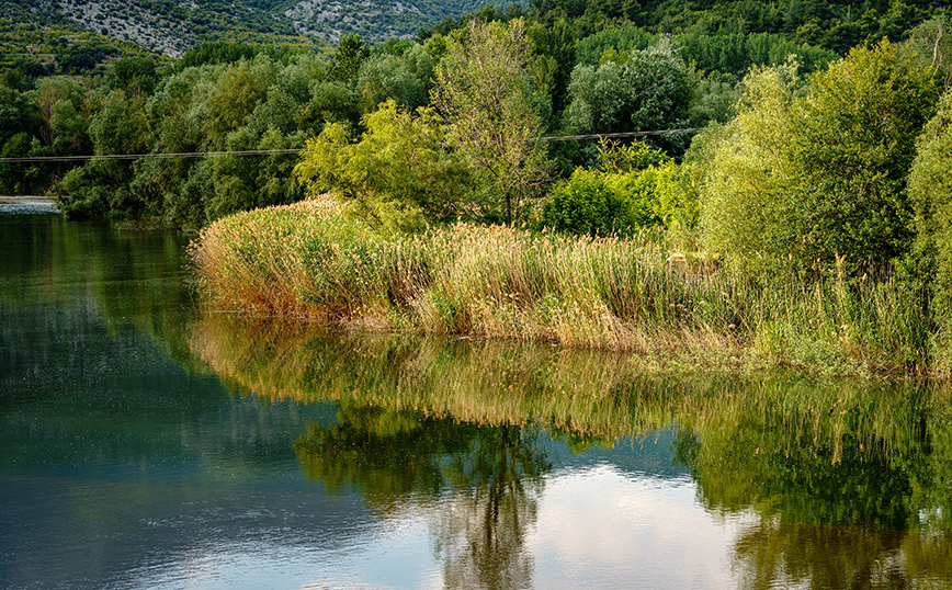 Αντικατοπριτρισμοί της φύσης στα νερά του Νέστου