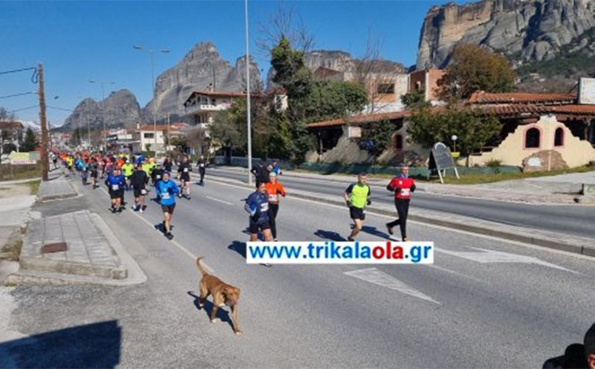 Σκύλος έτρεξε σε ημιμαραθώνιο: Ξεκίνησε από την Καλαμπάκα και τερμάτισε στα Τρίκαλα