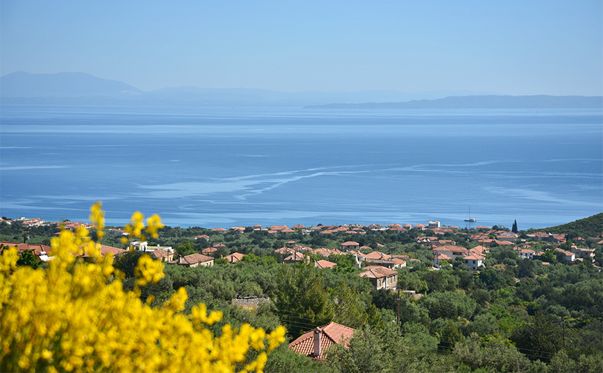 Πούλιθρα, Αρκαδία