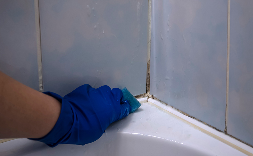 Καθαριότητα μπάνιου Καθαριότητα μπάνιου