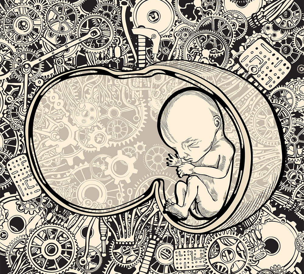 Βρέφος σε τεχνητή μήτρα