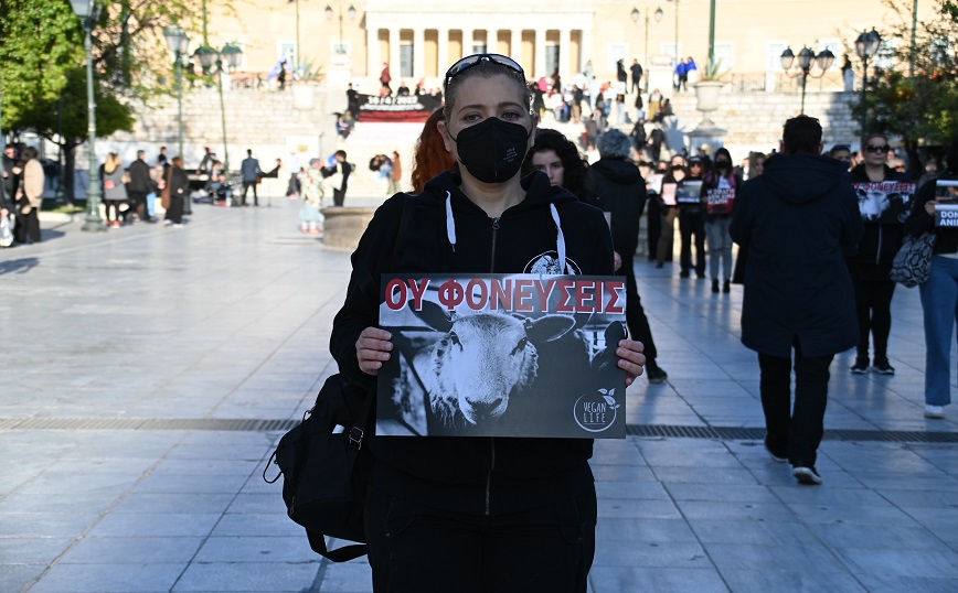 Διαμαρτυρία για τη θανάτωση των ζώων από Βίγκαν, Σύνταγμα Διαμαρτυρία για τη θανάτωση των ζώων από Βίγκαν, Σύνταγμα