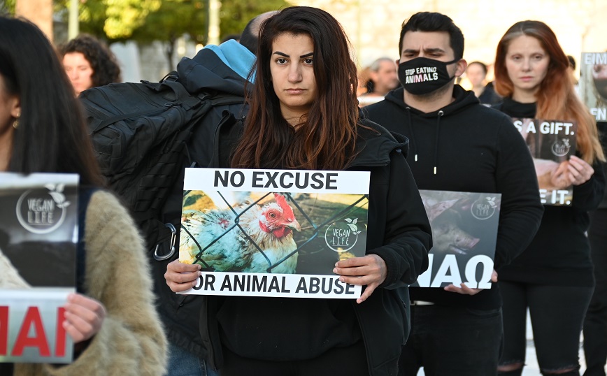 Διαμαρτυρία για τη θανάτωση των ζώων από Βίγκαν, Σύνταγμα Διαμαρτυρία για τη θανάτωση των ζώων από Βίγκαν, Σύνταγμα