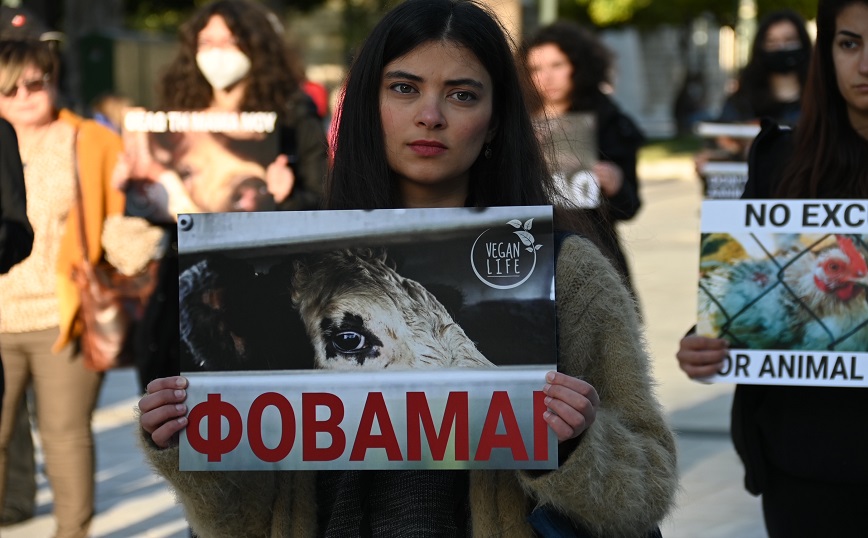 Διαμαρτυρία για τη θανάτωση των ζώων από Βίγκαν, Σύνταγμα Διαμαρτυρία για τη θανάτωση των ζώων από Βίγκαν, Σύνταγμα