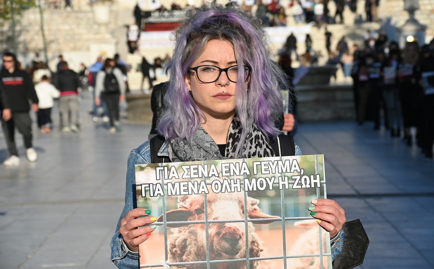 Διαμαρτυρία για τη θανάτωση των ζώων από Βίγκαν, Σύνταγμα Διαμαρτυρία για τη θανάτωση των ζώων από Βίγκαν, Σύνταγμα