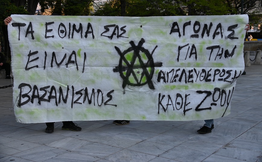 Διαμαρτυρία για τη θανάτωση των ζώων από Βίγκαν, Σύνταγμα Διαμαρτυρία για τη θανάτωση των ζώων από Βίγκαν, Σύνταγμα