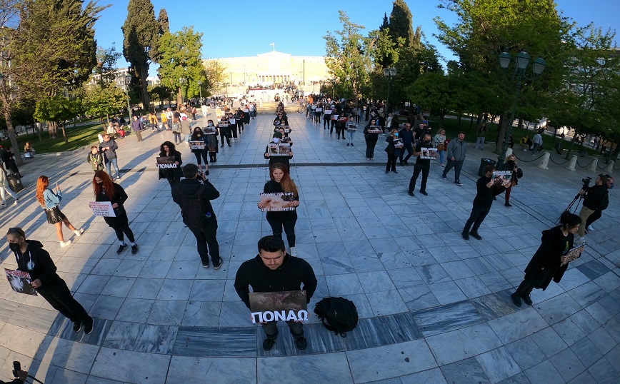 Διαμαρτυρία για τη θανάτωση των ζώων από Βίγκαν, Σύνταγμα Διαμαρτυρία για τη θανάτωση των ζώων από Βίγκαν, Σύνταγμα