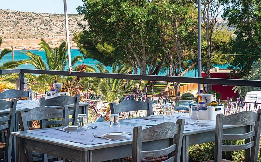 Ψαράκια και Θαλασσινά Ψαράκια και Θαλασσινά