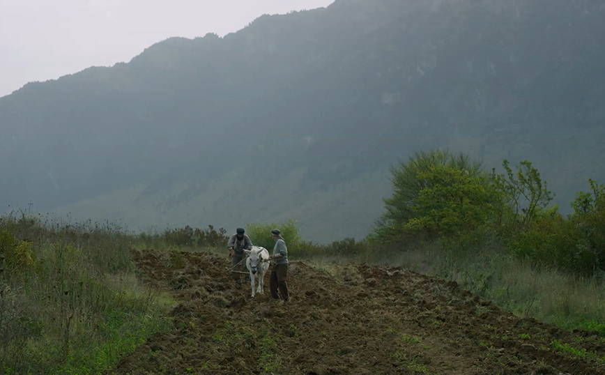 Άγιος Παΐσιος, Από τα Φάρασα στον Ουρανό