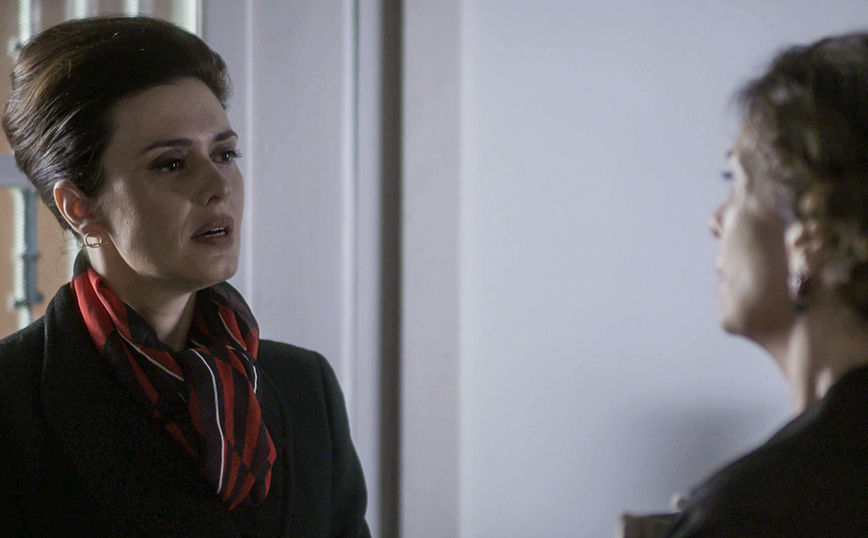 Άγριες Μέλισσες Άγριες Μέλισσες