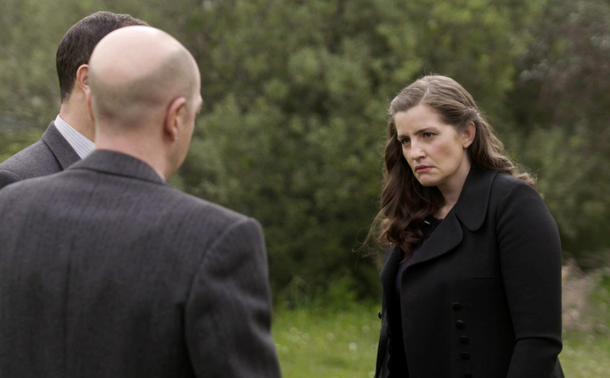 Άγριες Μέλισσες Άγριες Μέλισσες