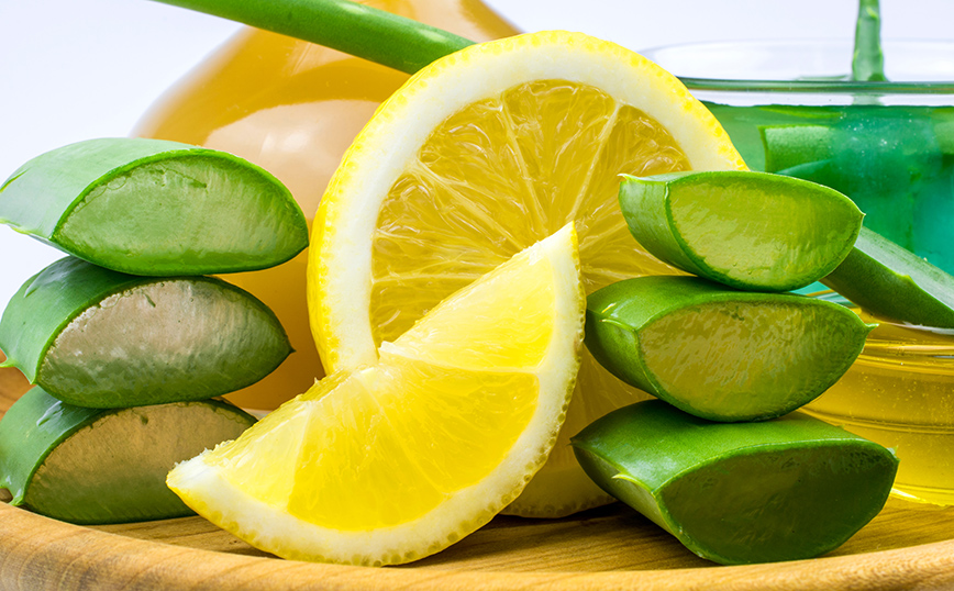 Αλόη βέρα Αλόη βέρα