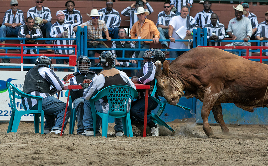 Ταύρος χτυπά Ταύρος χτυπά