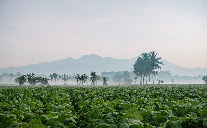 BAT: Αναγνώριση ως Climate Leader 2022 από τους Financial Times