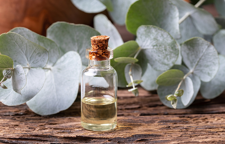 Έλαιο ευκάλυπτου Έλαιο ευκάλυπτου