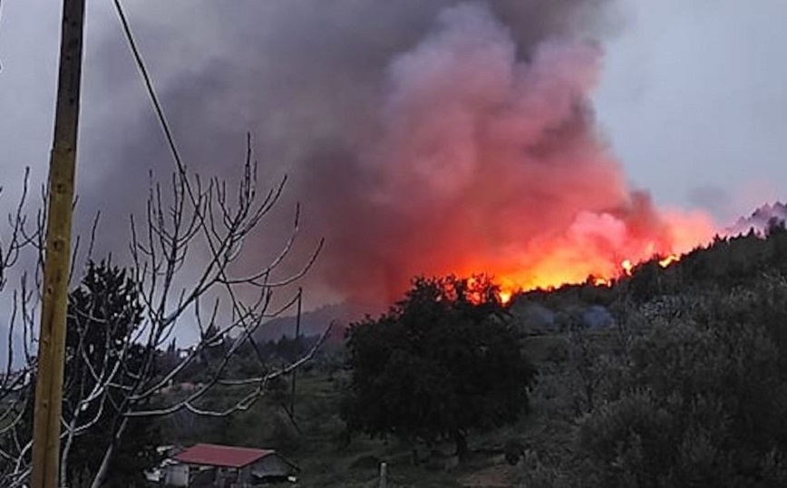 Φωτιά τώρα στο Λιβαδάκι Ηλείας