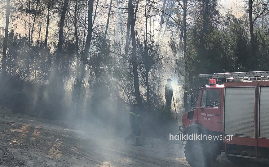 Yπό μερικό έλεγχο η φωτιά στη Χαλκιδική &#8211; Κάηκαν 450 στρέμματα