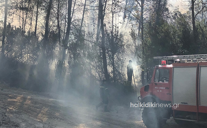 Yπό μερικό έλεγχο η φωτιά στη Χαλκιδική – Κάηκαν 450 στρέμματα