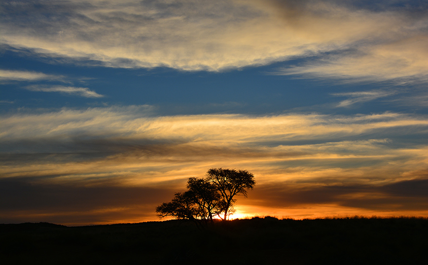 Ηλιοβασίλεμα στην έρημο Ηλιοβασίλεμα στην έρημο