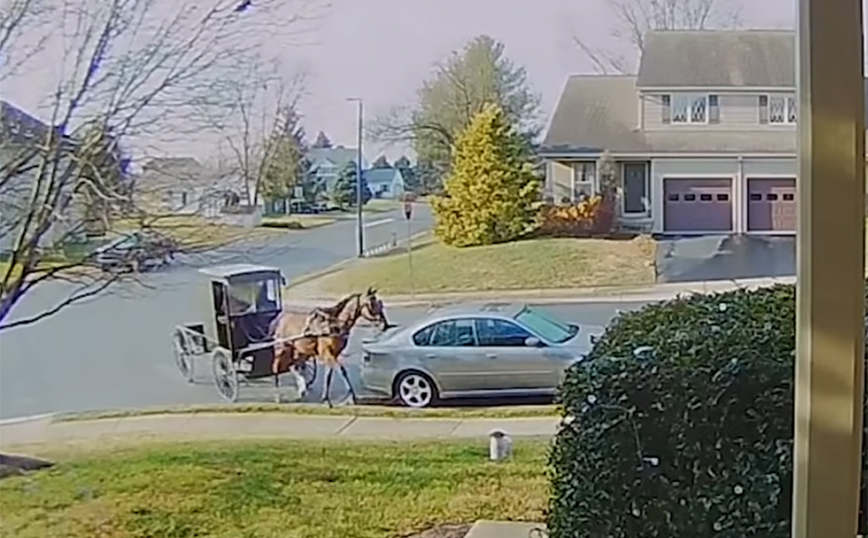 Στιγμές που έγιναν viral χωρίς πολύ κόπο