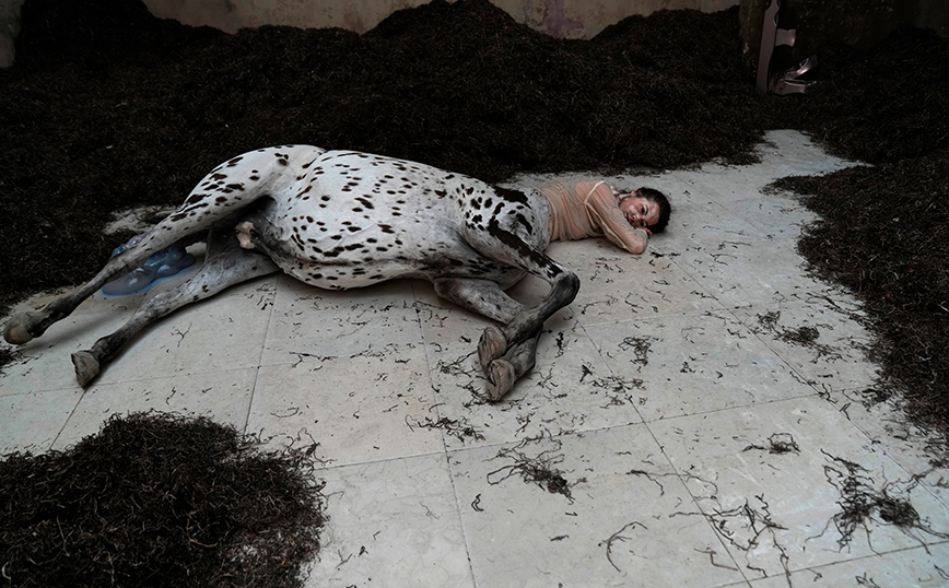 Installation στην Μπιενάλε της Βενετίας Installation στην Μπιενάλε της Βενετίας