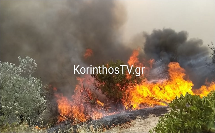 Φωτιά τώρα στο Ξυλόκαστρο