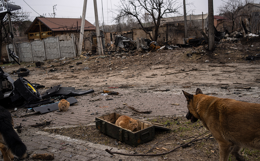 Πόλεμος στην Ουκρανία