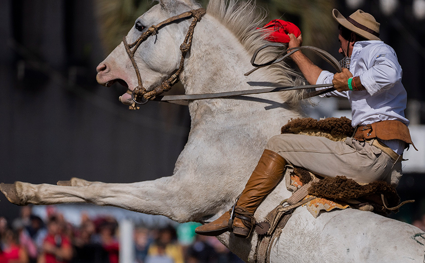 Άλογο και αναβάτης Άλογο και αναβάτης