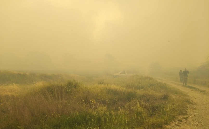 Μεγάλη φωτιά στη Ρόδο: Eκκενώθηκαν σχολεία στη Σορωνή, χωρίς ρεύμα τμήμα του χωριού