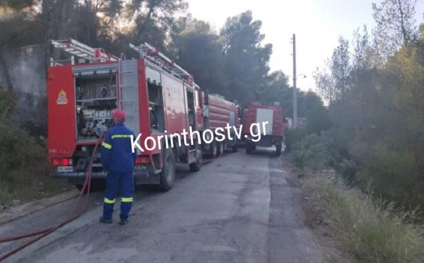 Υπό μερικό έλεγχο η φωτιά στις Κεχριές Κορινθίας