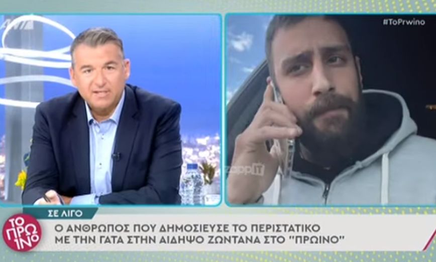 Κακοποίηση γάτας στην Αιδηψό: «Θέλω να ζητήσω μια συγγνώμη για το βίντεο που ανάρτησα στα social media»