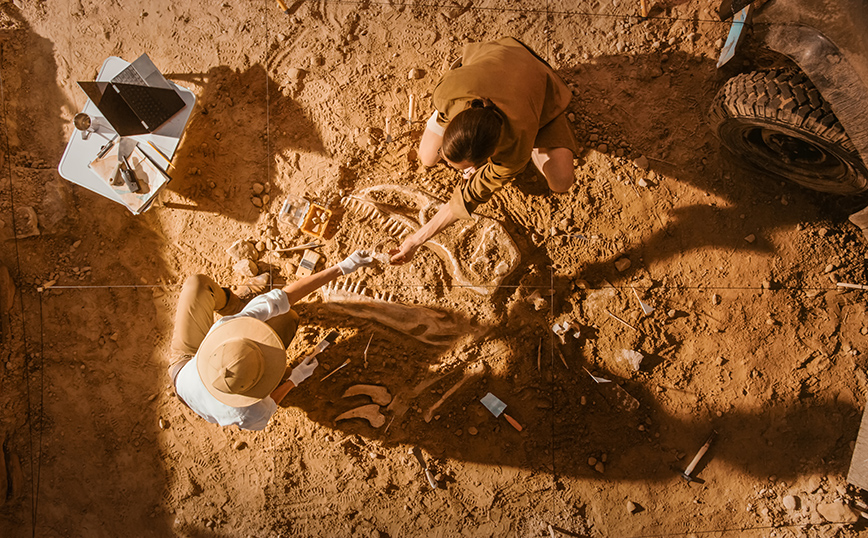 Δεινόσαυροι Δεινόσαυροι