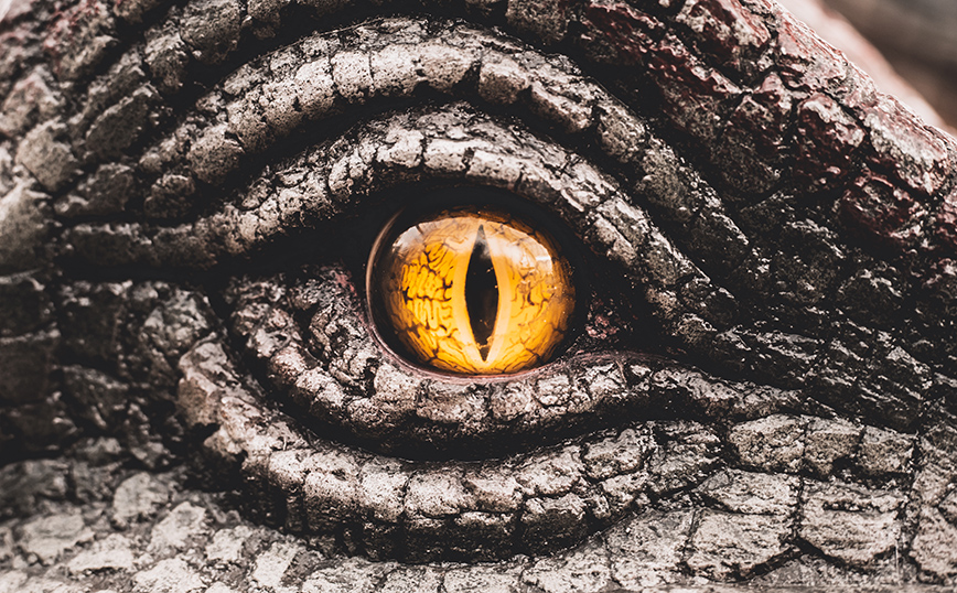 Δεινόσαυροι Δεινόσαυροι