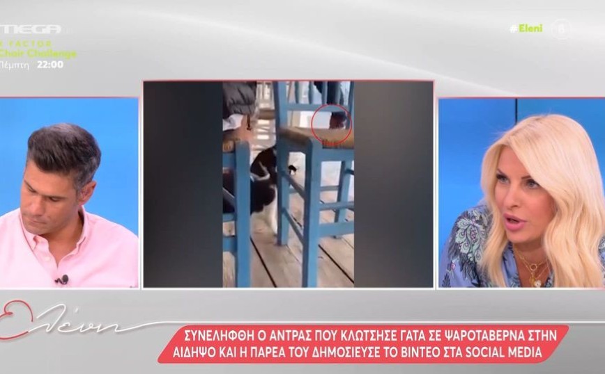 Ελένη Μενεγάκη για κακοποίηση γάτας στην Αιδηψό: «Κάποιοι έχουν μείνει πίσω»