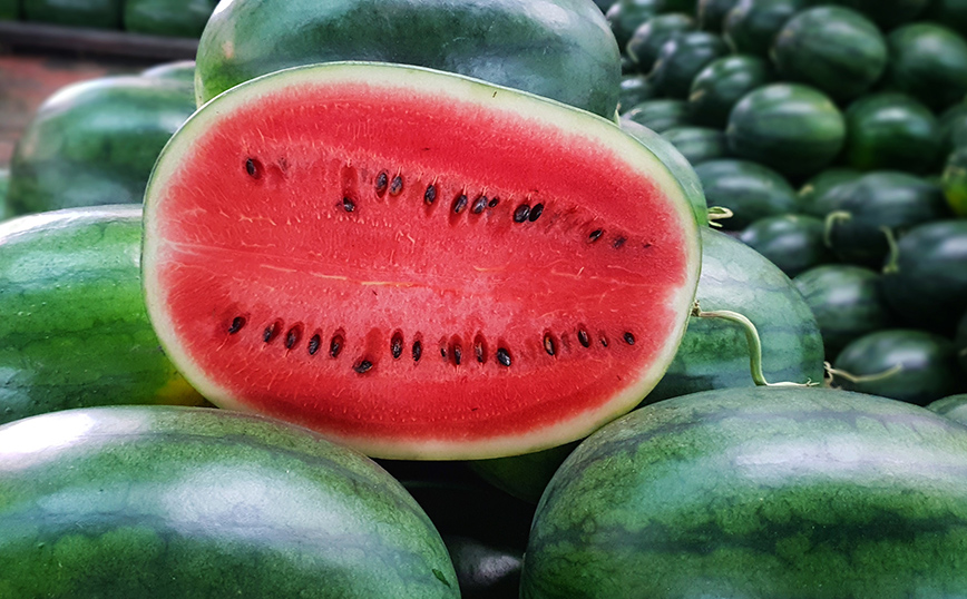 Καρπούζι Καρπούζι