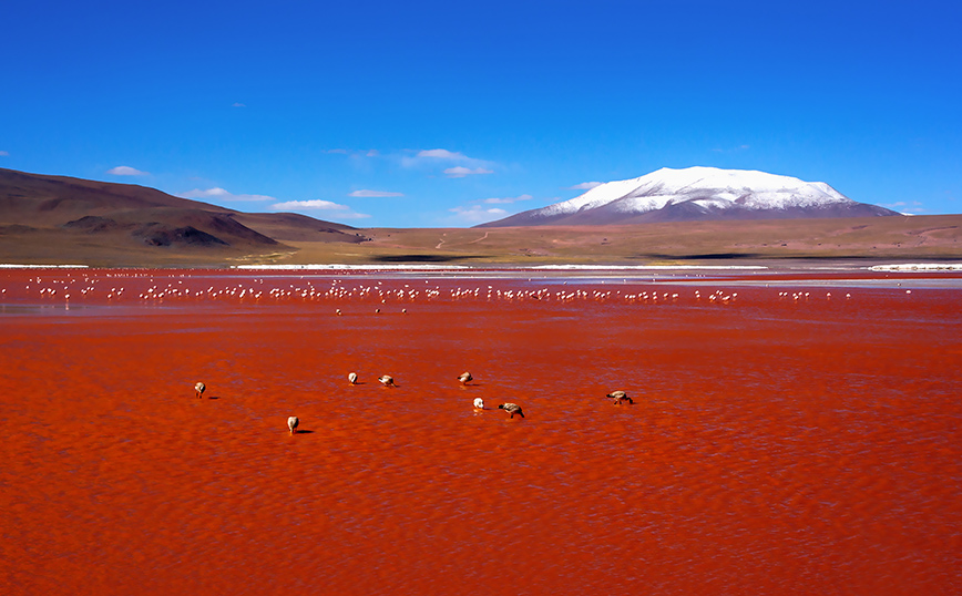 Βολιβία: Το φυσικό θαύμα της λίμνης Κολοράντα