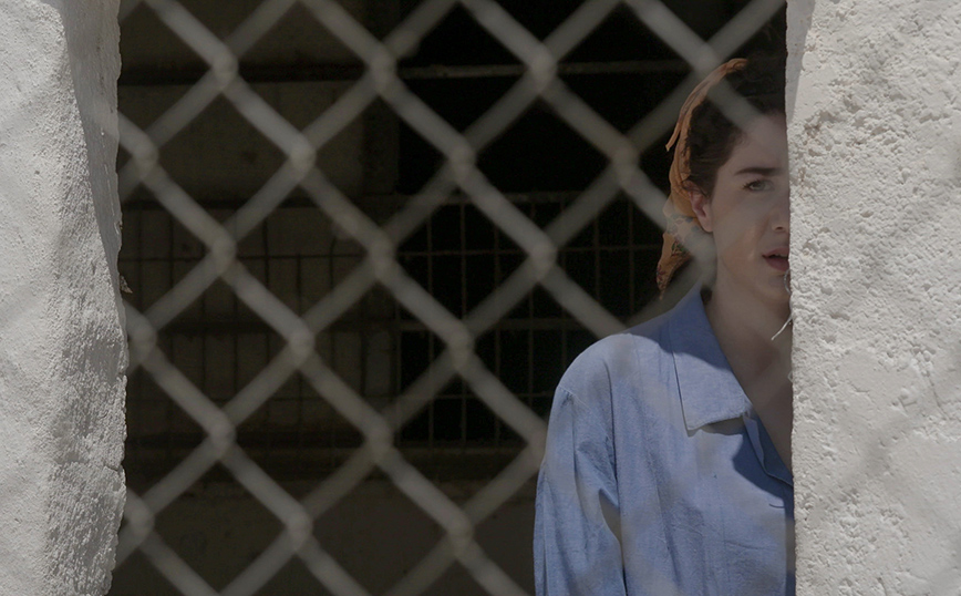 Άγριες Μέλισσες