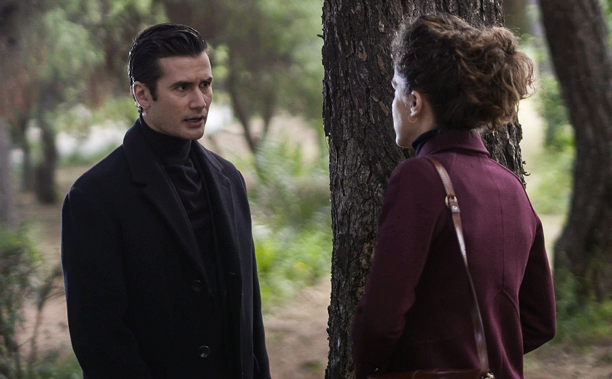 Άγριες Μέλισσες