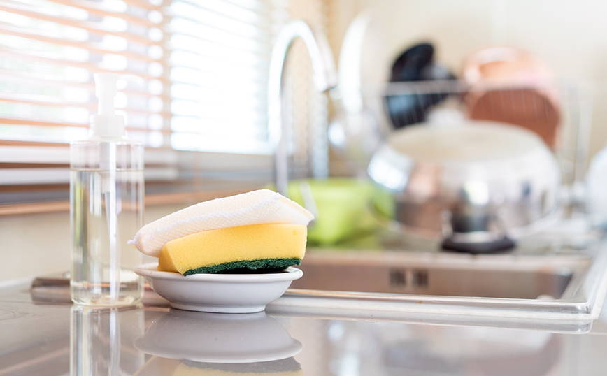 Σφουγγάρι πιάτων Σφουγγάρι πιάτων