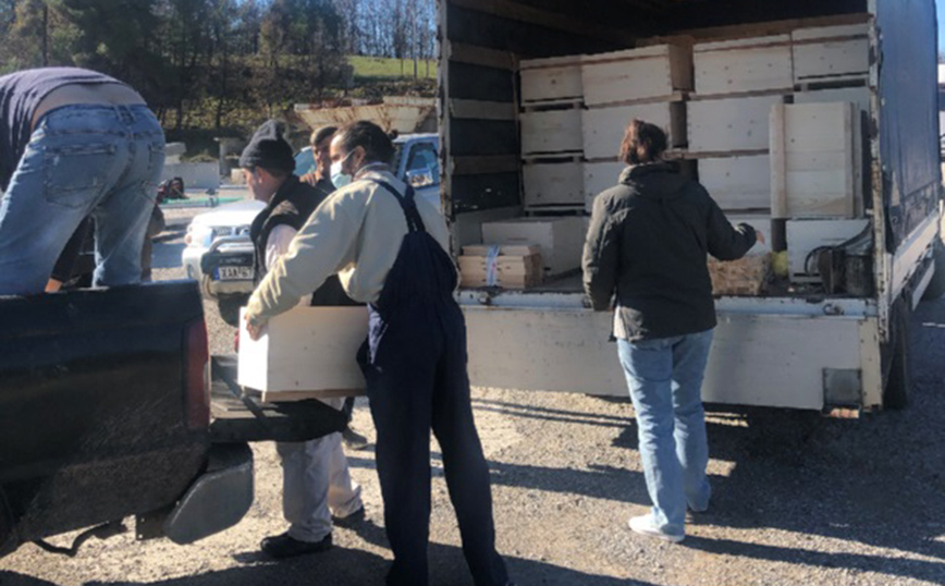 Παγκόσμια Ημέρα Μέλισσας: Το Beegin έκανε την αρχή…και συνεχίζει!