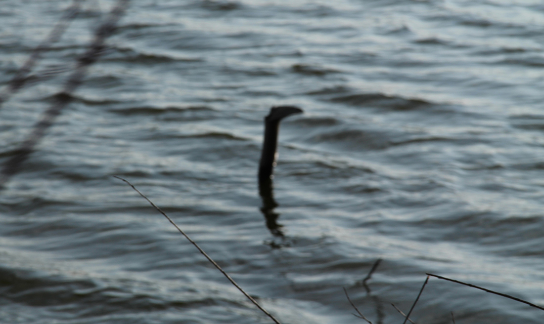 Μυθολογικά πλάσματα και τέρατα Μυθολογικά πλάσματα και τέρατα